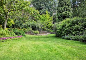 Optimiser l'expérience du jardin à Villers-sous-Saint-Leu